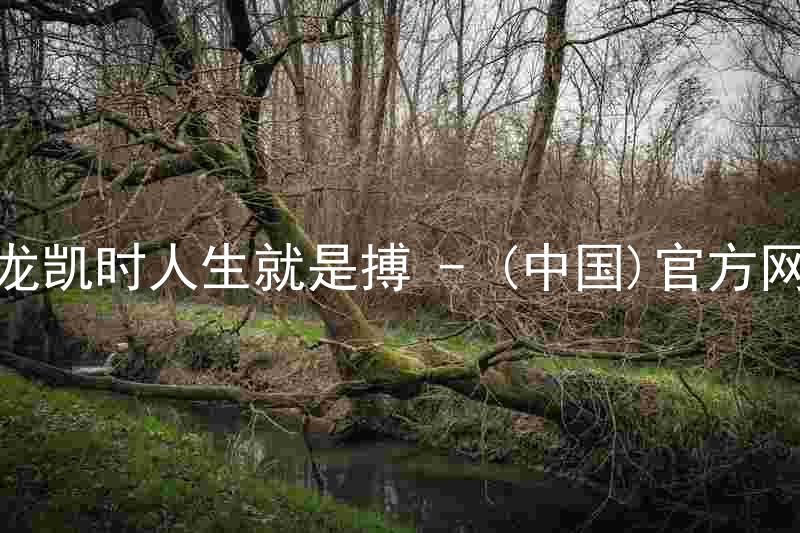尊龙凯时人生就是搏 - (中国)官方网站