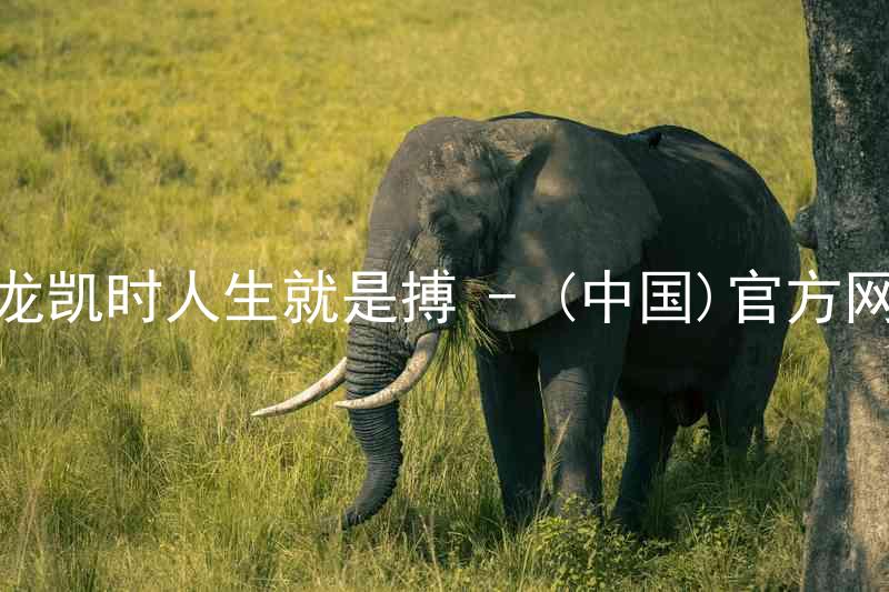 尊龙凯时人生就是搏 - (中国)官方网站